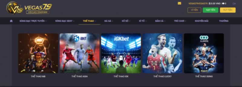 Quá trình phát triển và thiết lập một nền tảng trò chơi trực tuyến cấp độ 123Bet - 123Bet