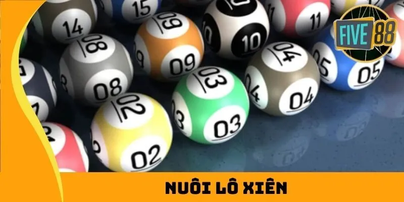 Ứng dụng Bongdalu cung cấp nhiều dịch vụ trò chơi và trò chơi trực tuyến khác nhau - Bongdalu