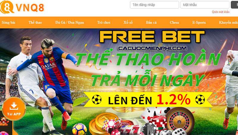 Sv388 là nơi bạn có thể vui chơi - Sv388