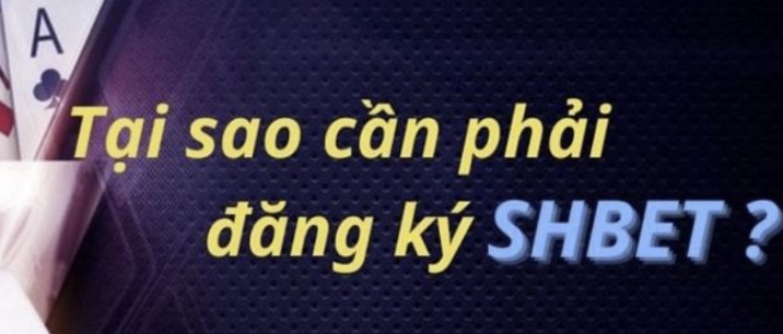Trải nghiệm thực tế ảo trong một đấu trường đá gà đẳng cấp Qh88 - Qh88