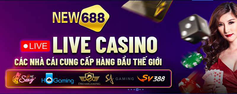 Vinbet cung cấp dịch vụ cá cược thể thao chất lượng cao - Vinbet