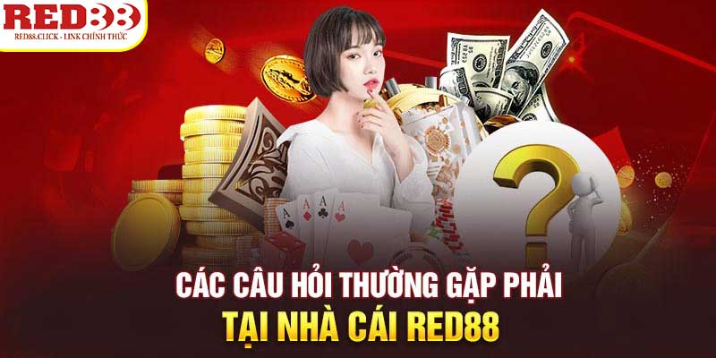 Đánh giá dịch vụ của công ty game Dk88 - Dk88