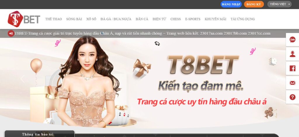 Dẫn đầu trong các cuộc thi cấp độ Sunwin - Sunwin