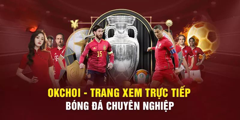 Điều gì khiến việc xem đá gà trực tiếp tại Letou hấp dẫn hơn so với các địa điểm khác? - Letou
