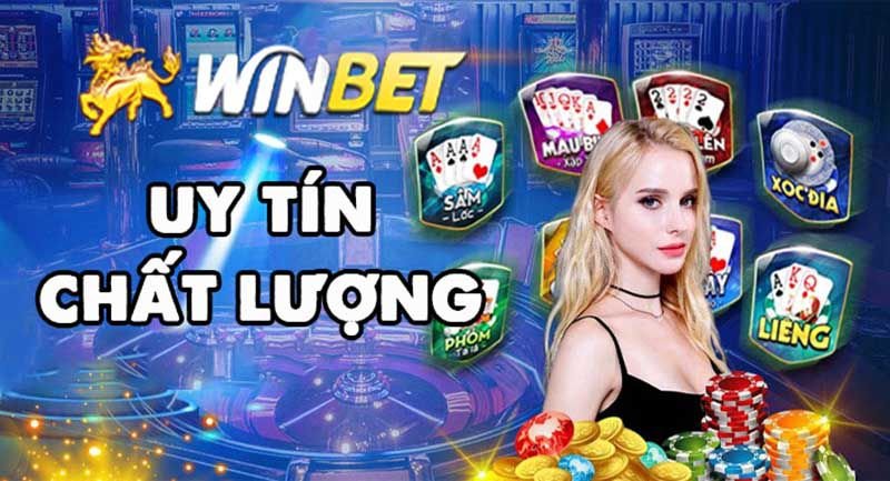 Trải nghiệm của người chơi cá cược khi đặt cược vào M788 - M788