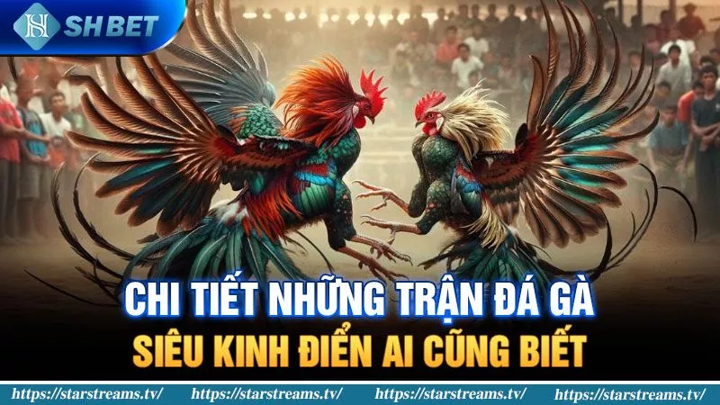 Một số trò chơi độc đáo được xếp hạng Xvip - Xvip