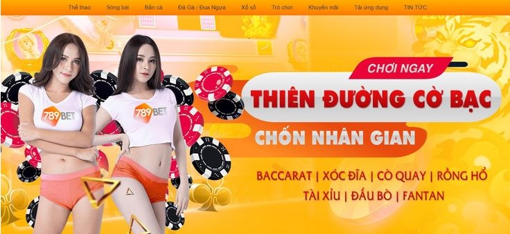 Tình trạng hiện tại của 7Ball - 7Ball